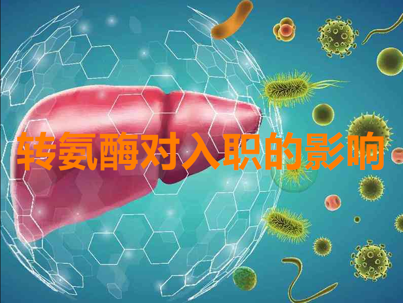 998d177e99a69bbc38120fe5c39fe0a_副本.png