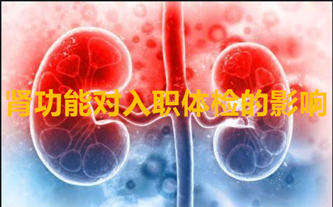 体检发现肾功能不全？别慌！了解一下可能的症状与预防方法